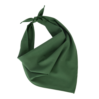 Bandana - Fiesta - Pasture Green
