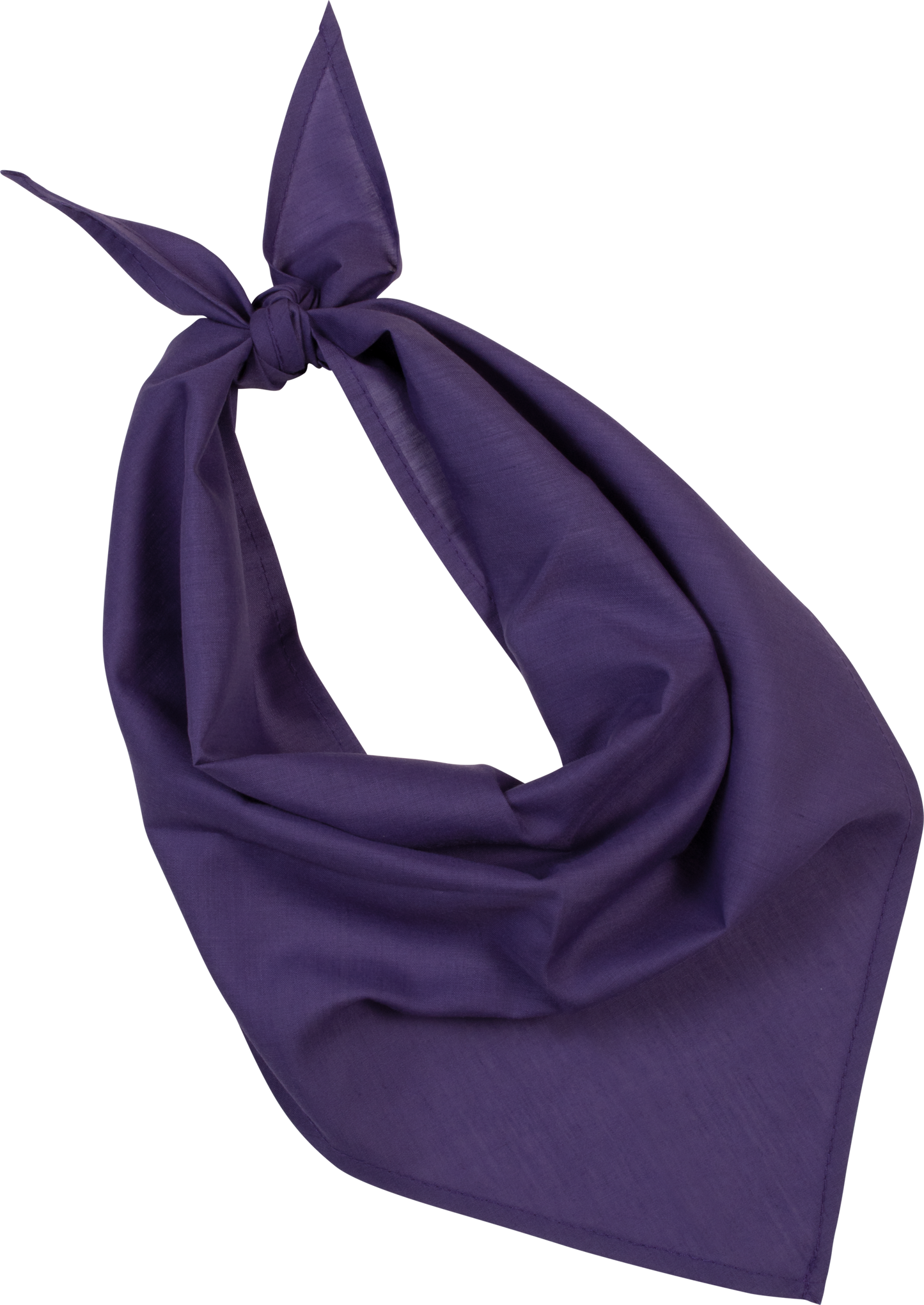 Bandana - Fiesta - Purple