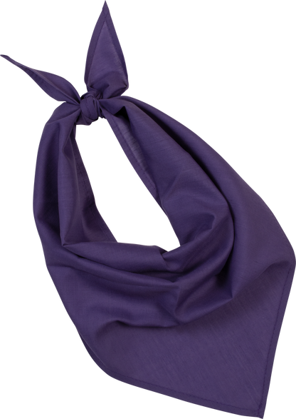 Bandana - Fiesta - Purple
