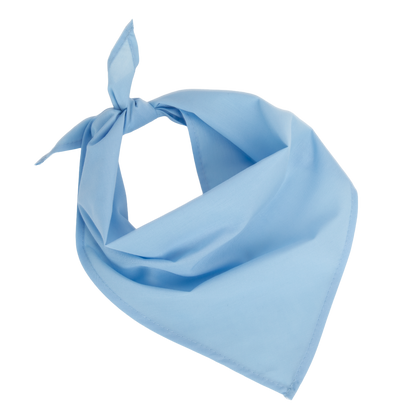 Bandana - Fiesta - Sky Blue