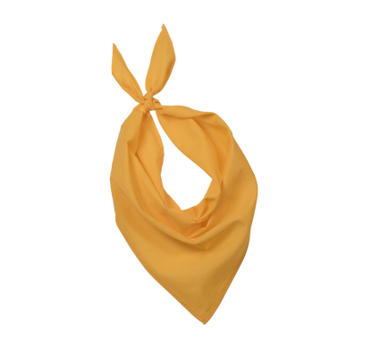 Bandana - Fiesta - Yellow